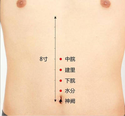 怀孕可以艾灸哪些部位