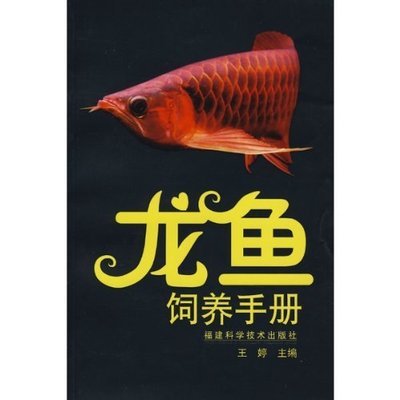 新鱼缸放了硝化细菌和除氯多久能放鱼进去（新鱼缸放了硝化细菌和除氯多久能放鱼进去）