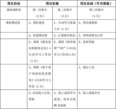 电力项目实施怎么写