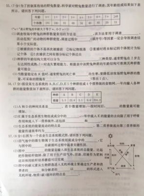 2020年高二期末试卷