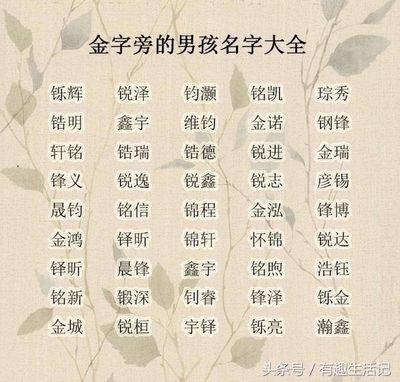 金字旁好听的名字