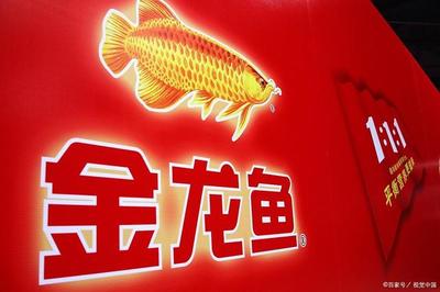 錦鯉魚(yú)池四倉(cāng)過(guò)濾怎么做：錦鯉魚(yú)池四倉(cāng)過(guò)濾怎么做的