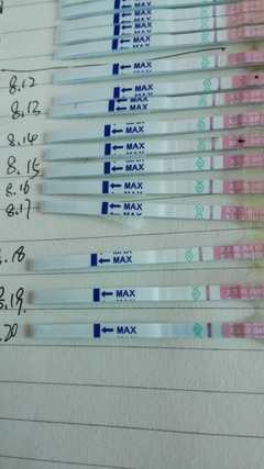 排卵期哪天排卵