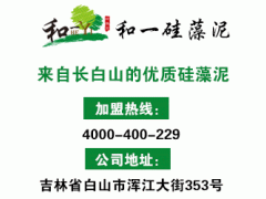 硅藻泥市场价格