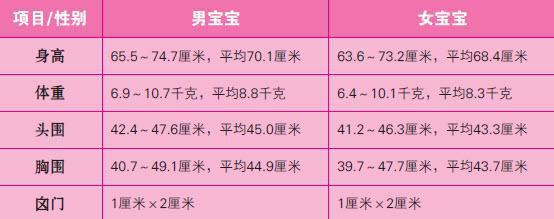8个月的宝宝头围标准