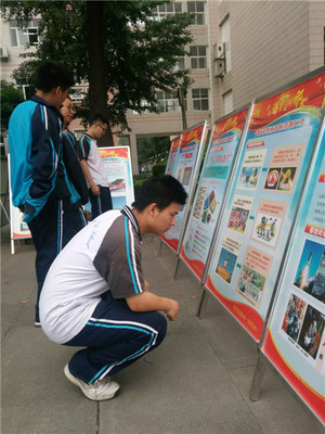 澳门威尼斯娱乐网增长数据图表