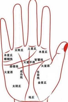 如何看手相婚姻线