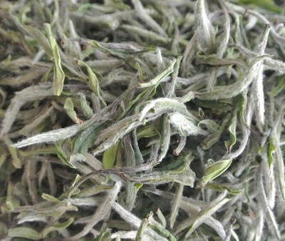 白茶营养成分