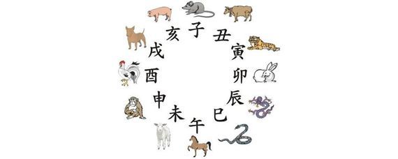 独字生肖是什么生肖