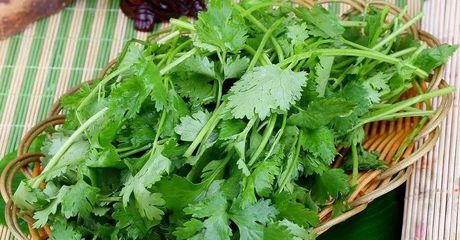 怀孕不能吃香菜