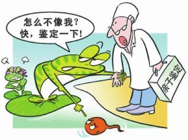 哪里可做亲子鉴定