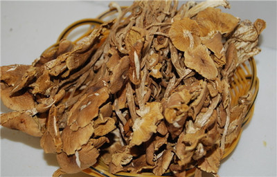 怀孕茶树菇可以吃吗