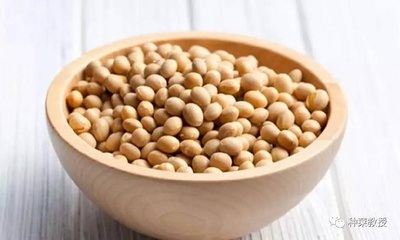 黄豆肥制作方法
