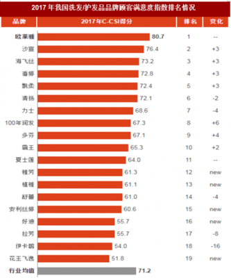 蜂花洗发水市场分析报告