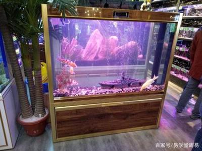 陽江水族批發(fā)市場（陽江水族批發(fā)市場在哪里）