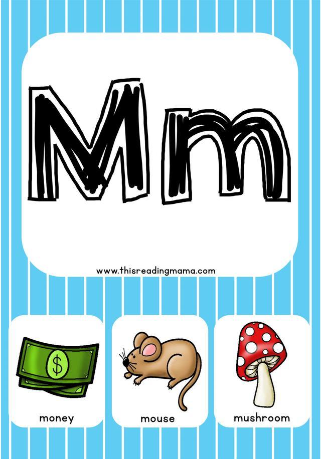 mushroom发音
