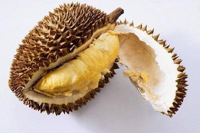多大宝宝可以吃榴莲