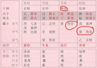 八字查子女个数