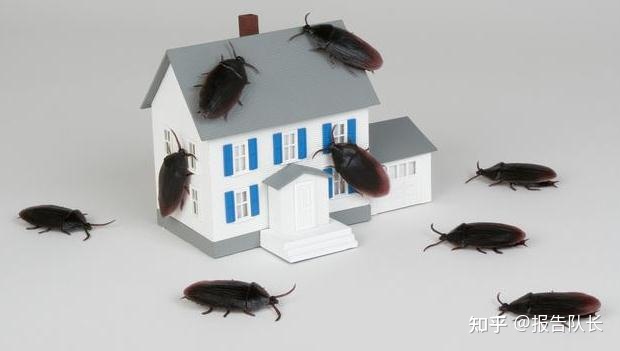 为什么屋里会有蟑螂