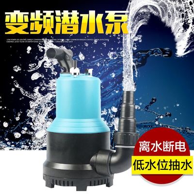 巴彥淖爾水族店（巴彥淖爾水族店有哪些）