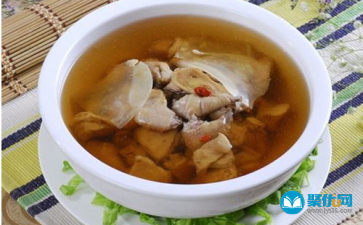 炖鸽子汤的做法