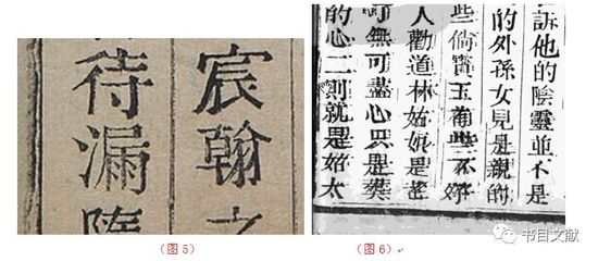 郑字五行