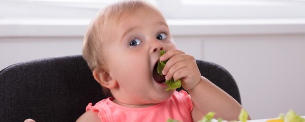 八个月宝宝不爱吃辅食