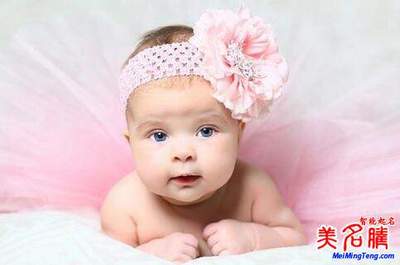 猪年的宝宝取什么名字