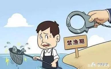 刑事附带民事赔偿项目