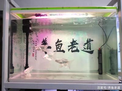 北京水世界魚缸（北京水世界魚缸怎么樣） 觀賞魚市場（混養(yǎng)魚）