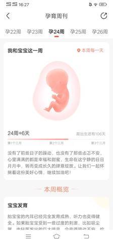 孕24周是几个月了