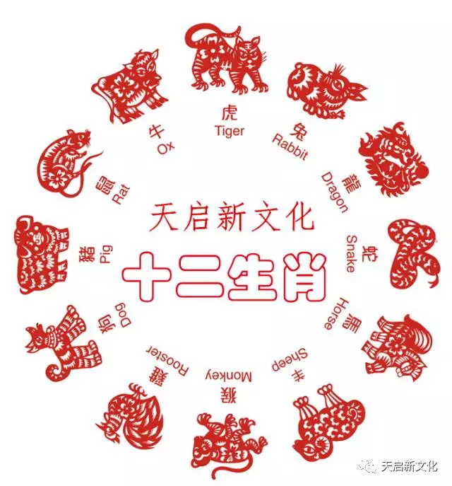 十二生肖夫妻肖