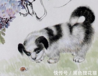 属狗的财运方向