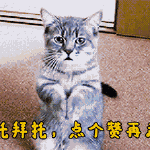 钻石铂金和k金镶的分别