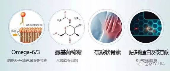 氨基多糖作用和功效