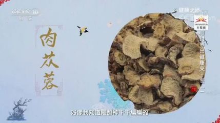 央视网孢子粉多少钱