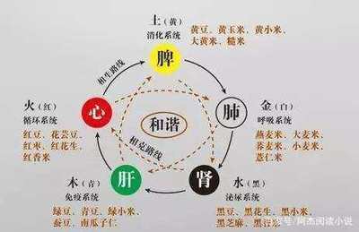 周字五行