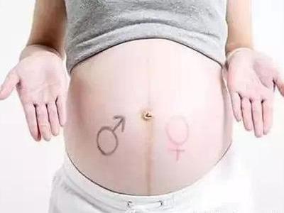 宝宝肚子上有一条竖线