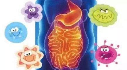益生菌的正确吃法