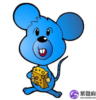 2008属鼠人的命运