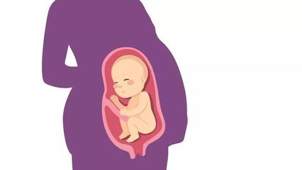 足月孕的宫高和腹围标准是多少