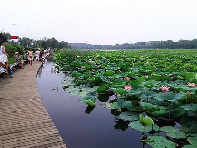沈阳西湖