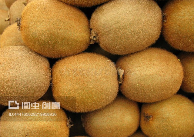 最新鹅店名字