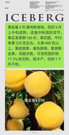 阳历黄