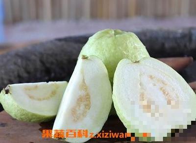 番石榴孕妇可以吃吗