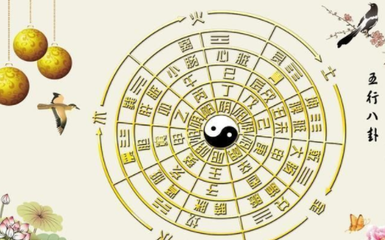 什么是向上五行