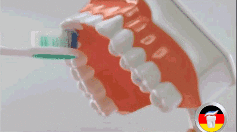 单颗牙齿直立