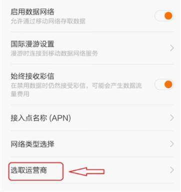 国际漫游 网络禁用