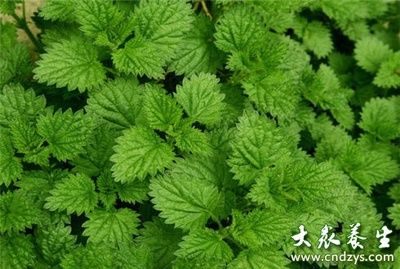 简述五行的特性