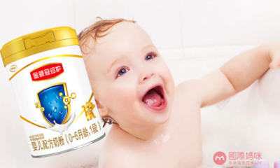 国产婴儿奶粉品牌排行榜